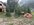 IMG_8202.jpeg