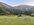 IMG_8204.jpeg