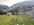 IMG_8206.jpeg