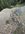IMG_8210.jpeg