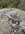 IMG_8211.jpeg