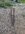 IMG_8212.jpeg
