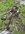 IMG_8213.jpeg