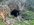 IMG_8214.jpeg