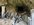 IMG_8215.jpeg
