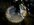 IMG_8216.jpeg