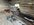 IMG_8221.jpeg