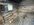 IMG_8222.jpeg