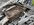 IMG_8226.jpeg