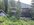 IMG_8227.jpeg