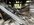 IMG_8231.jpeg