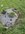 IMG_8233.jpeg