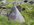 IMG_8234.jpeg