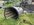 IMG_8235.jpeg