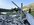 IMG_8239.jpeg