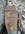 IMG_8242.jpeg