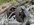 IMG_8243.jpeg