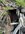 IMG_8244.jpeg