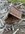 IMG_8246.jpeg