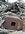 IMG_8247.jpeg