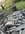 IMG_8250.jpeg