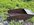 IMG_8251.jpeg