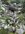 IMG_8254.jpeg