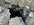 IMG_8255.jpeg