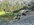 IMG_8259.jpeg