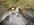 IMG_8277.jpeg