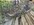 IMG_8281.jpeg