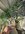 IMG_8279.jpeg