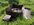 IMG_8278.jpeg