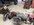 IMG_3477.jpeg