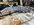 IMG_4934.jpeg