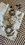 IMG_6722.jpeg