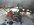 IMG_3957.jpeg