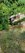 20230825_132931_Original.jpeg