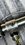 IMG_5583.jpeg