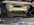 IMG_1037.jpeg