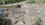 1693806346647.png
