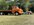 IMG_5586.jpeg