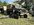 IMG_5568.jpeg