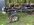 IMG_3541.jpeg