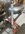 IMG_9050.jpeg