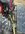 IMG_0759.jpeg