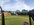 IMG_7021.jpeg