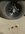 IMG_2888.jpeg