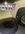 IMG_2890.jpeg