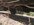 IMG_5333.JPG IMG_5333.JPG